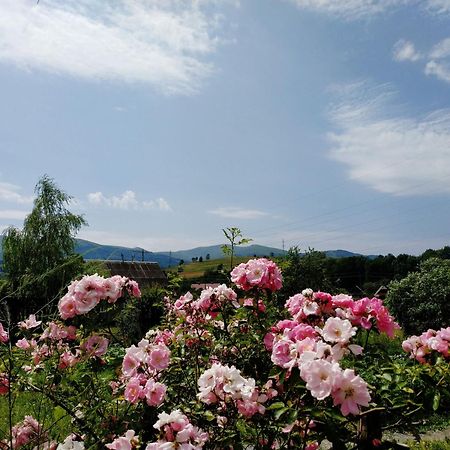 Nestg Guest House Pilipets 外观 照片