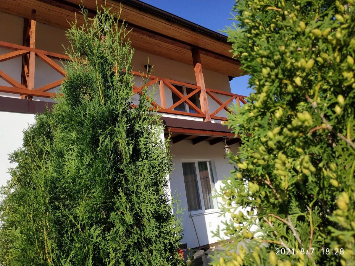 Nestg Guest House Pilipets 外观 照片