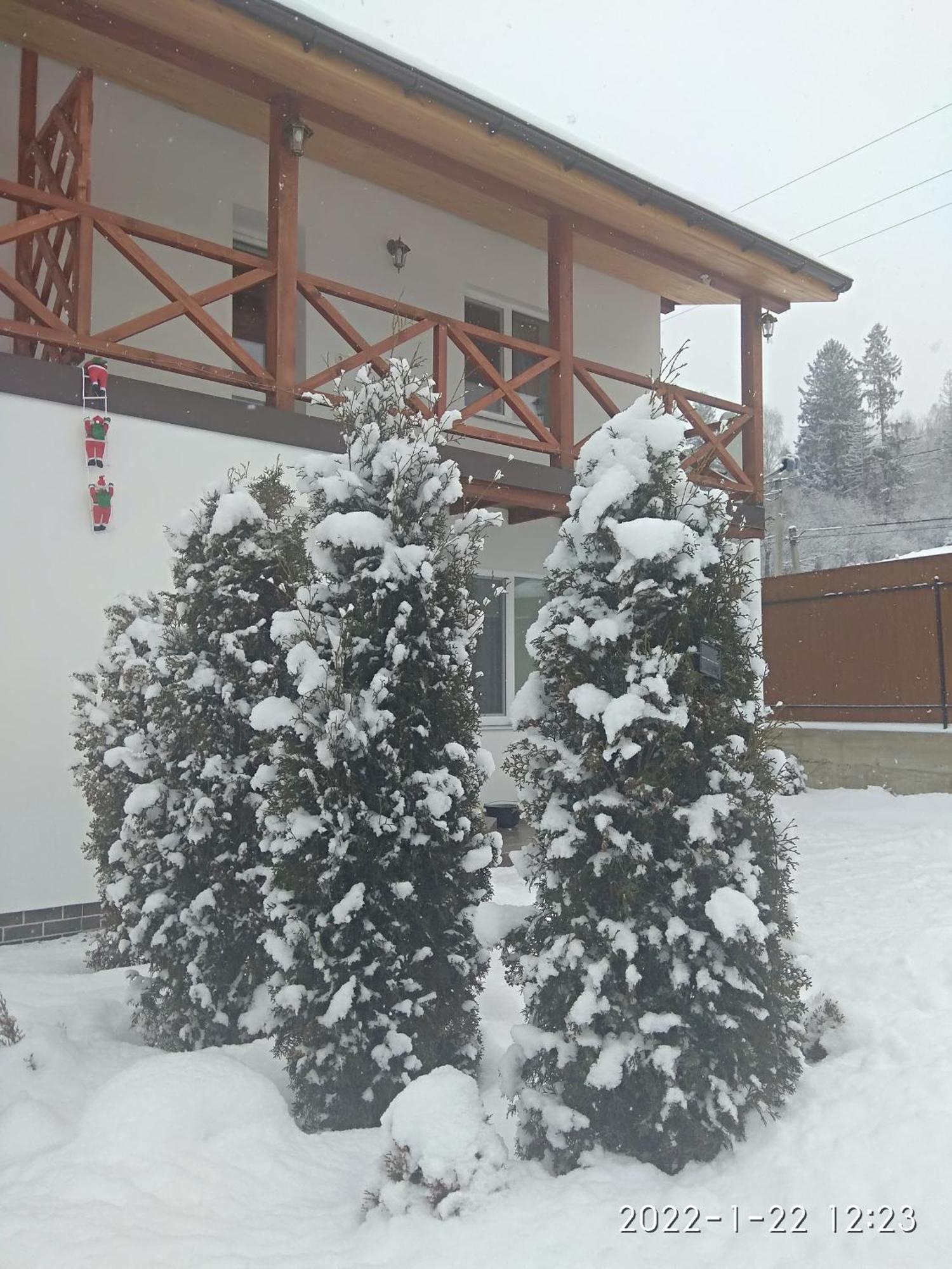 Nestg Guest House Pilipets 外观 照片