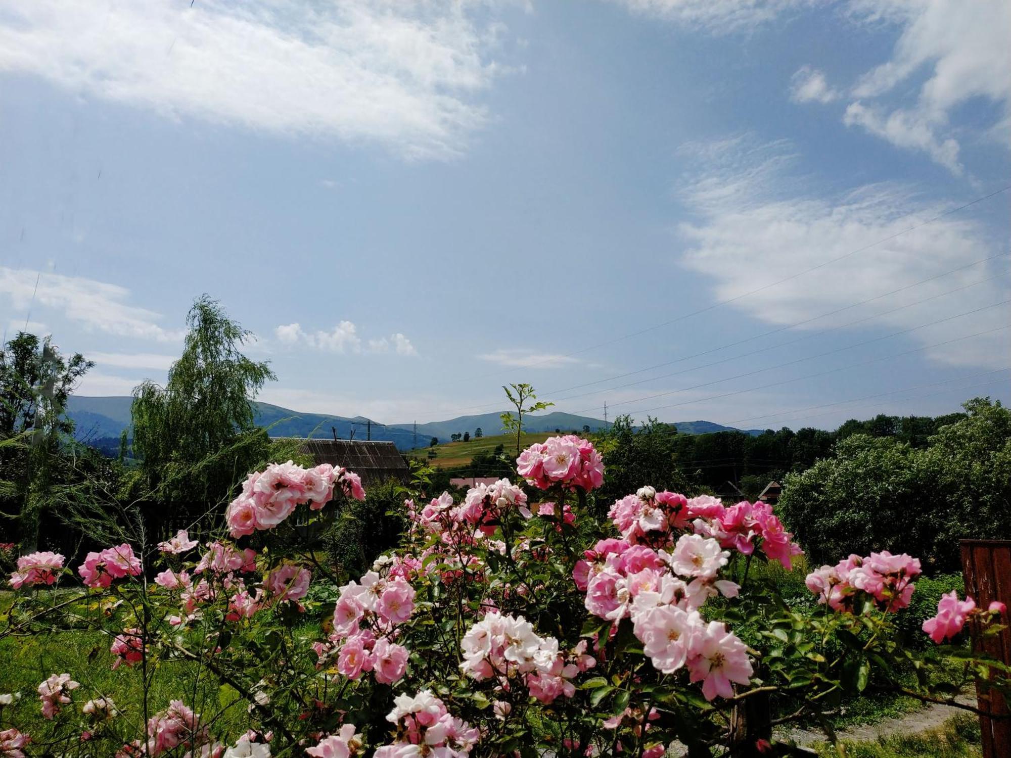 Nestg Guest House Pilipets 外观 照片